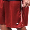 Champion Men's Big & Tall Mesh Shorts