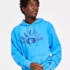 Champion Men's Vintage Wash Varsity Hoodie