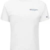 Champion Men's USA Logo Graphic Short-Sleeve T-Shirt